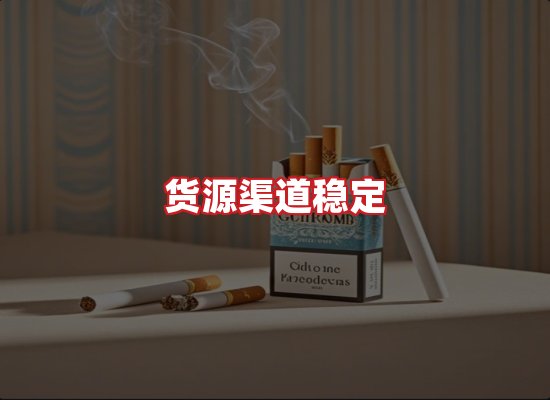 专业团队